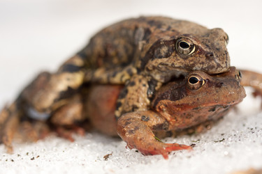 Similar image 1192995