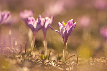 Similar image 1192996