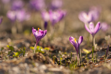 Similar image 1192997