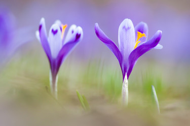 Similar image 1192999