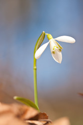 Similar image 1193000