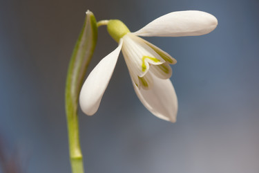 Similar image 1193001