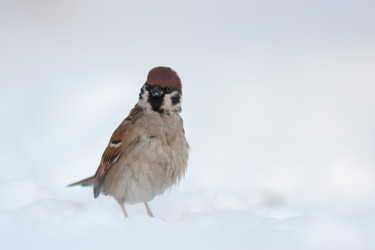 Similar image 1193003