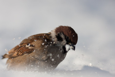 Similar image 1193005