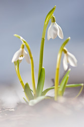 Similar image 1193006