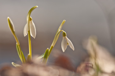 Similar image 1193007