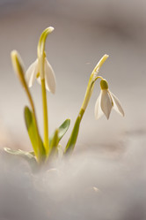 Similar image 1193008