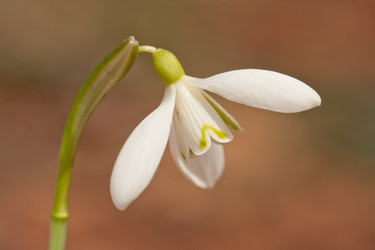 Similar image 1193009