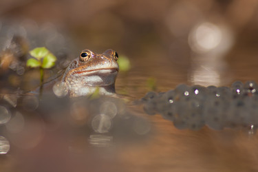 Similar image 1193010