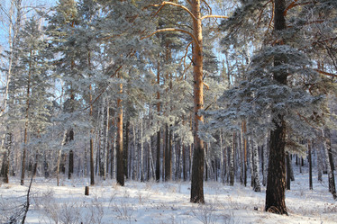 Similar image 1193011