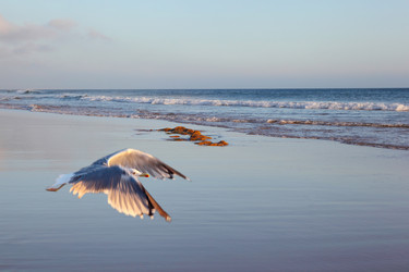 Similar image 1193012