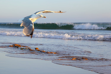 Similar image 1193013