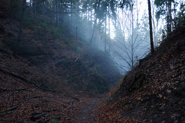 Similar image 1193034