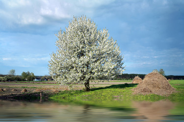 Similar image 1193045