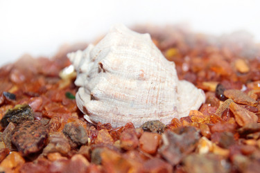 Similar image 1193062