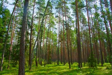 Similar image 1193104