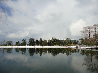 Similar image 1193113