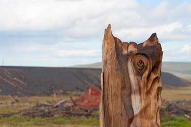 Similar image 1193224