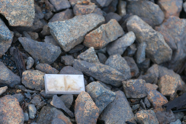 Similar image 1193226