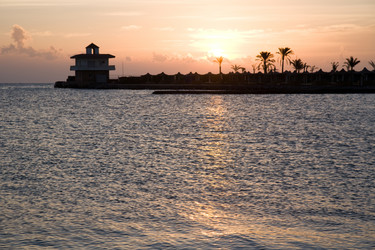 Similar image 1193322