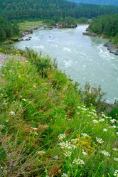 Similar image 1193349