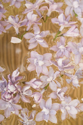 Similar image 1193354