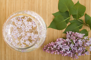 Similar image 1193356