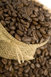 Similar image 1193365