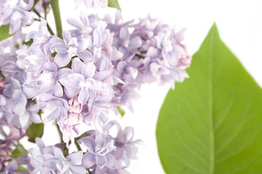 Similar image 1193367