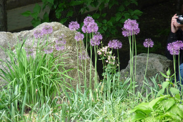 Similar image 1193388