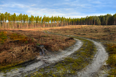 Similar image 1193431