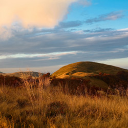 Similar image 1193433