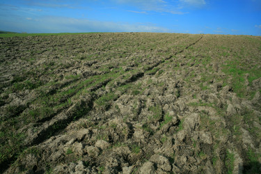 Similar image 1193434