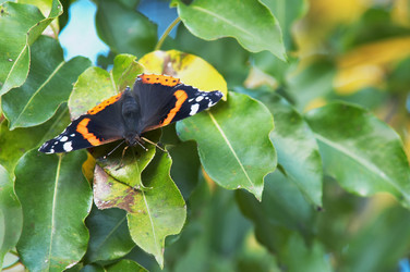 Similar image 1193439