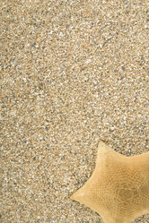 Similar image 1193454