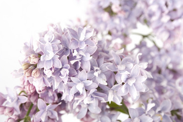 Similar image 1193456