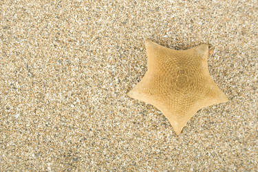 Similar image 1193458