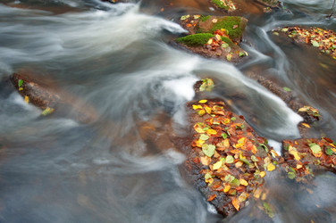 Similar image 1193501