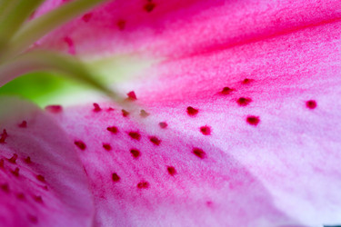 Similar image 1193509