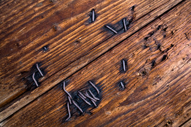 Similar image 1193513