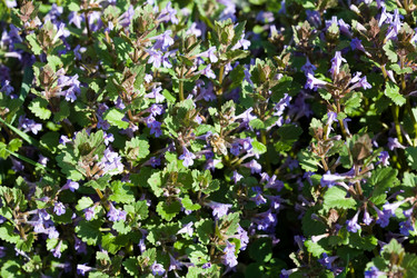 Similar image 1193515