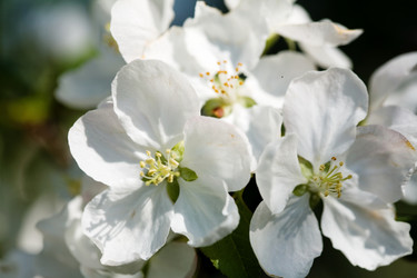 Similar image 1193521