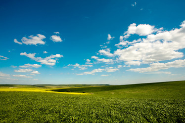 Similar image 1193536