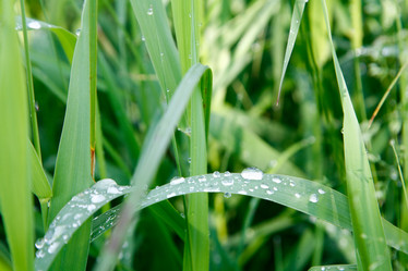 Similar image 1193537