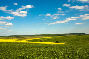 Similar image 1193538