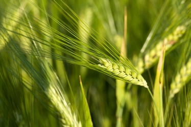 Similar image 1193539