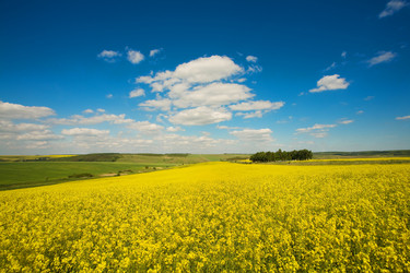 Similar image 1193540