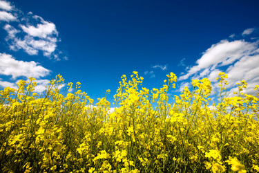 Similar image 1193542