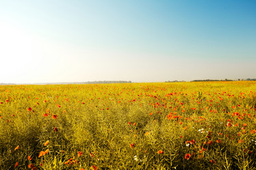 Similar image 1193543