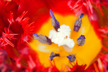 Similar image 1193547